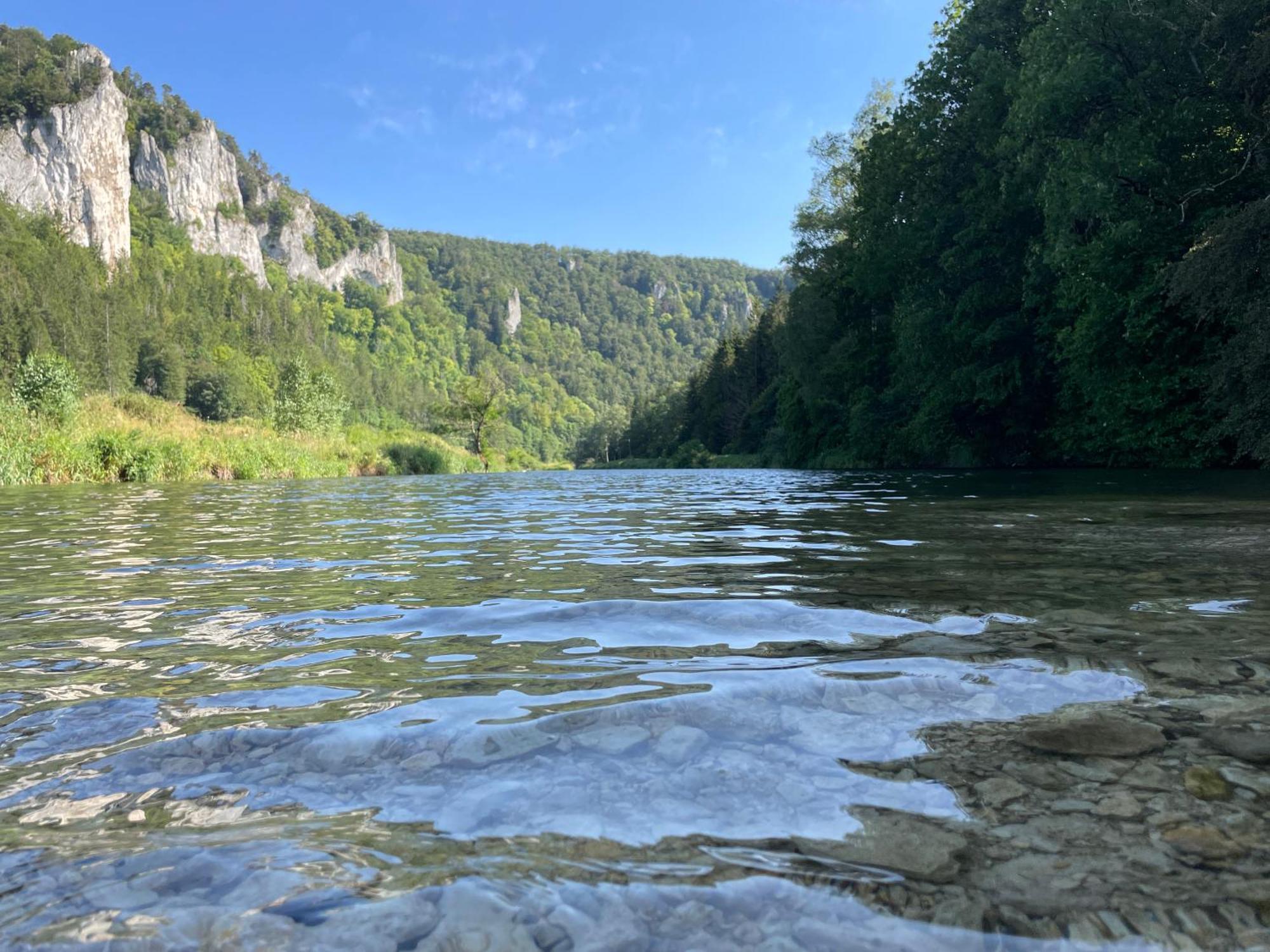 Zwergdackeladlerhirsch Διαμέρισμα Beuron Εξωτερικό φωτογραφία